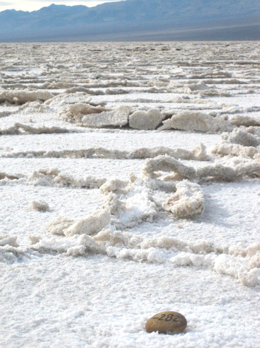 In early 2013, we received the following two pictures from a hiker named Larry, which reveal what the Lowest Point looked like at that time.  There is a new rock and the salt terrain has changed: